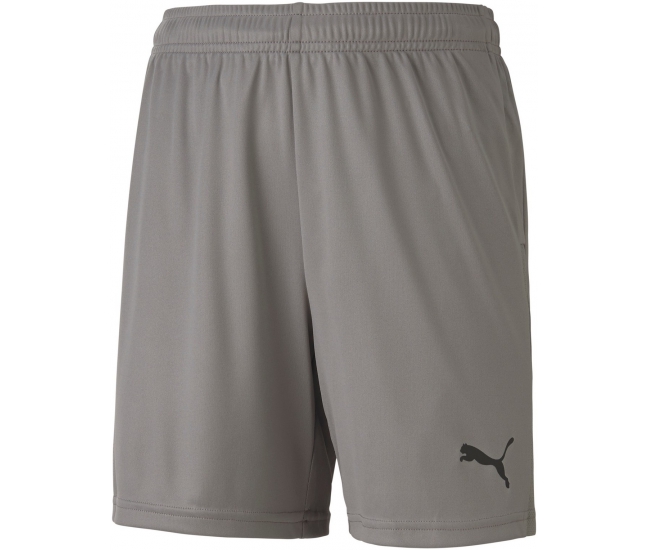 puma teamgoal 23 knit shorts